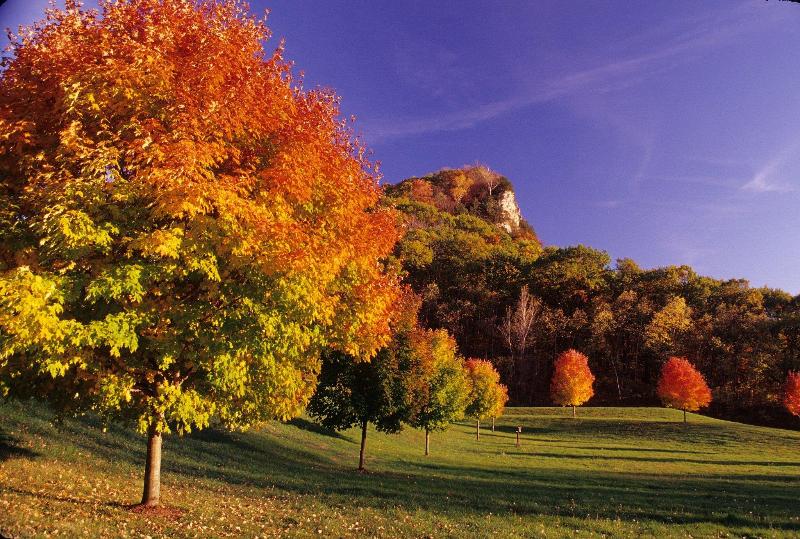 Radisson Hotel La Crosse