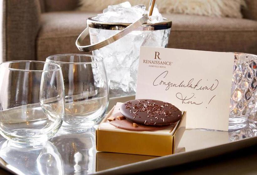 호텔 Renaissance Asheville Downtown