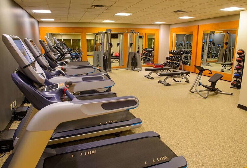 酒店 Rochester Mayo Clinic Area