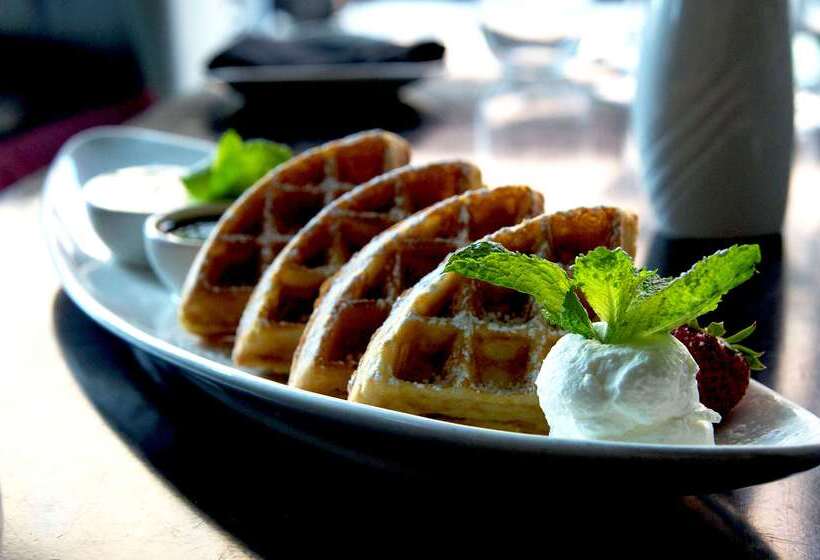 酒店 Rochester Mayo Clinic Area