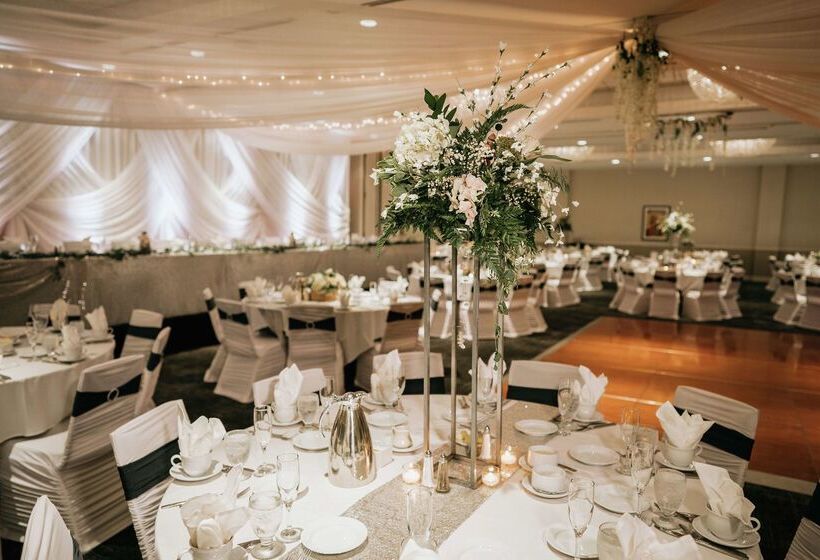 酒店 Rochester Mayo Clinic Area