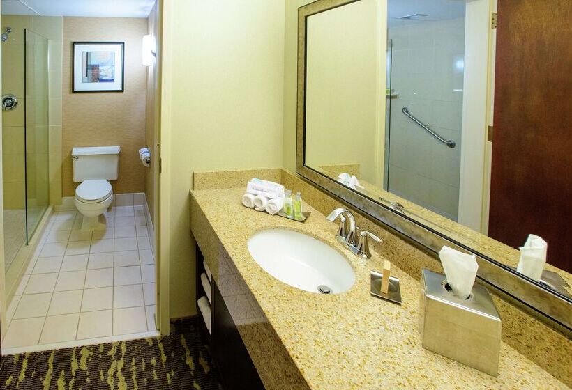 酒店 Rochester Mayo Clinic Area