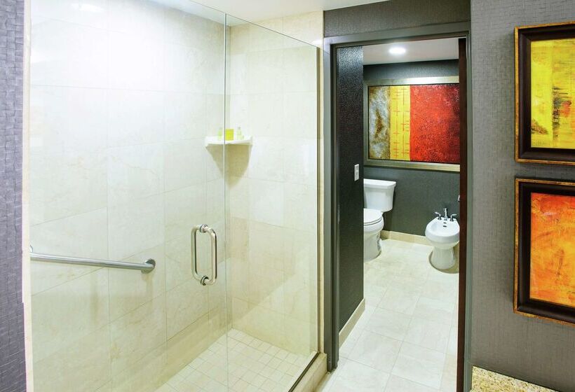 酒店 Rochester Mayo Clinic Area