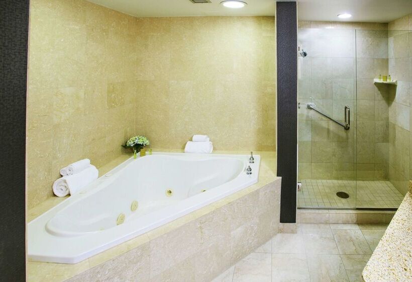 هتل Rochester Mayo Clinic Area