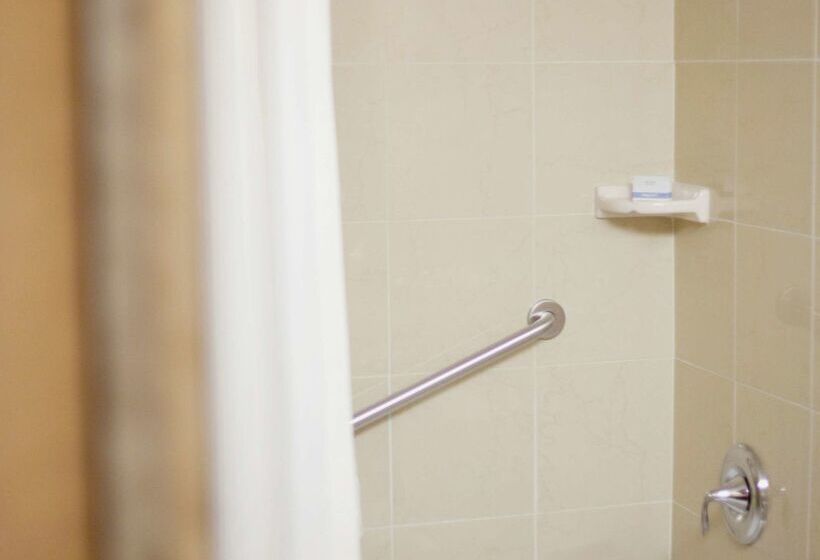 酒店 Rochester Mayo Clinic Area