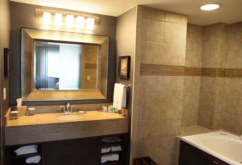 酒店 Rochester Mayo Clinic Area