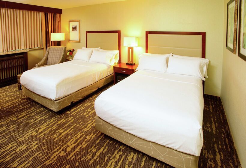 酒店 Rochester Mayo Clinic Area