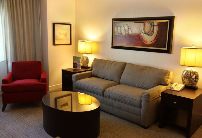 酒店 Rochester Mayo Clinic Area