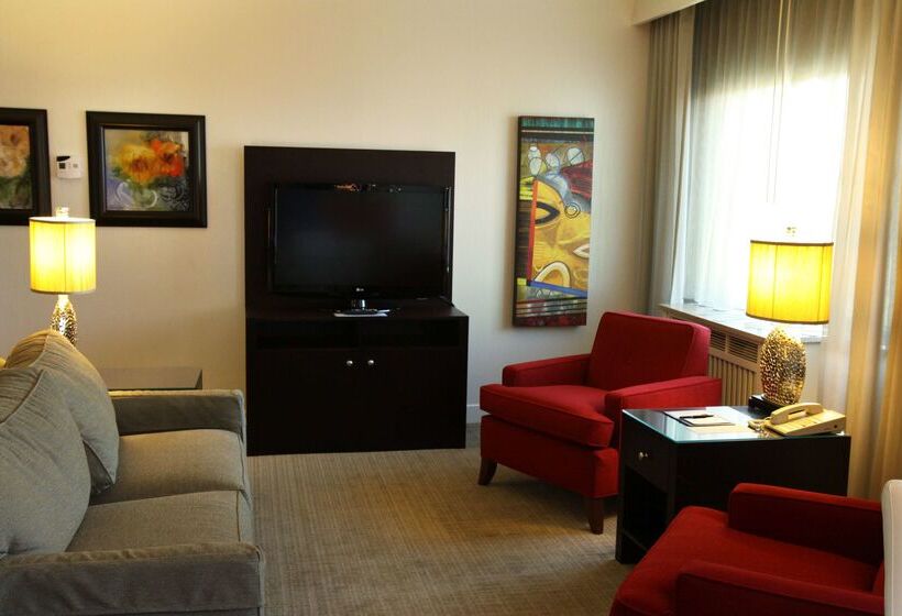 酒店 Rochester Mayo Clinic Area