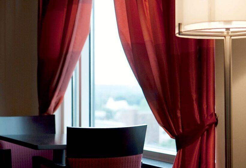 酒店 Rochester Mayo Clinic Area