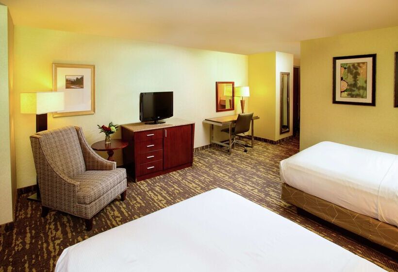 酒店 Rochester Mayo Clinic Area