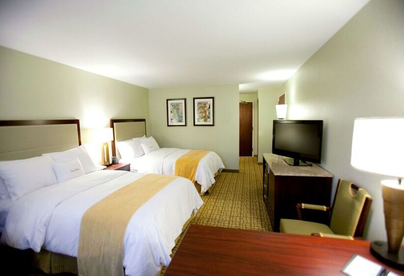 酒店 Rochester Mayo Clinic Area