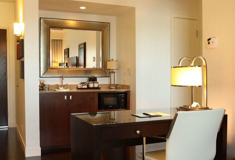 酒店 Rochester Mayo Clinic Area