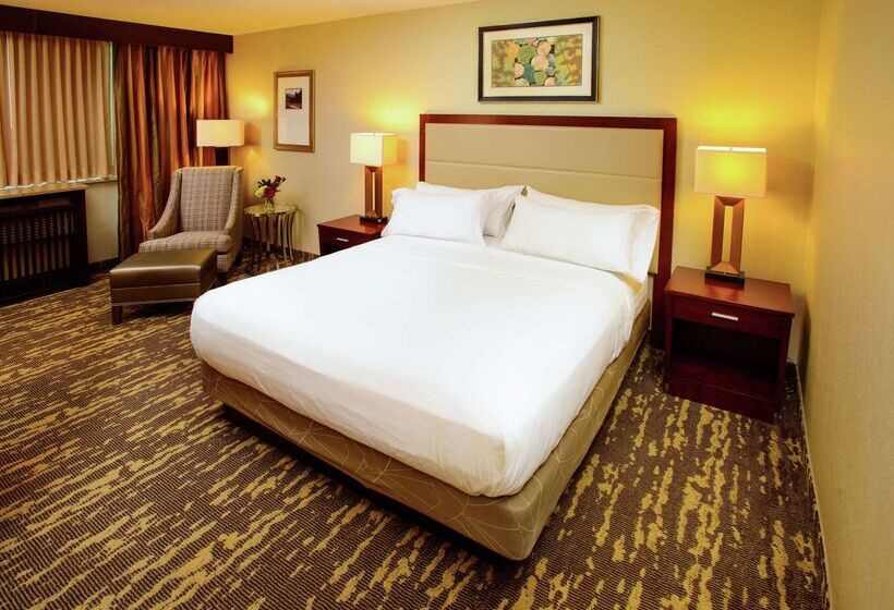 酒店 Rochester Mayo Clinic Area