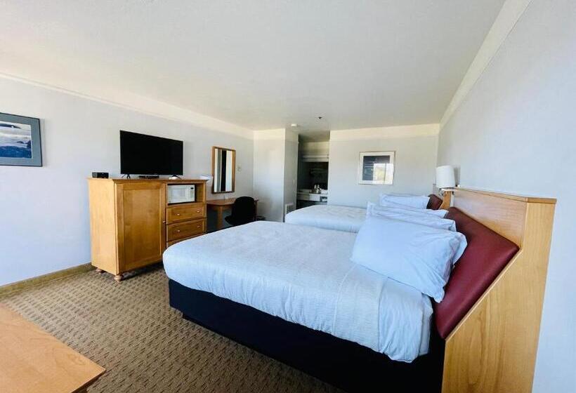 فندق Seabird Lodge Fort Bragg