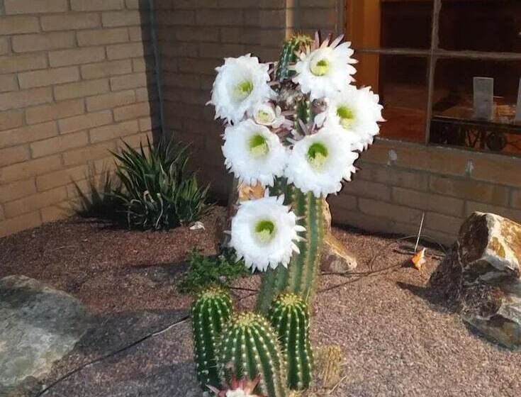 فندق Clarion Inn