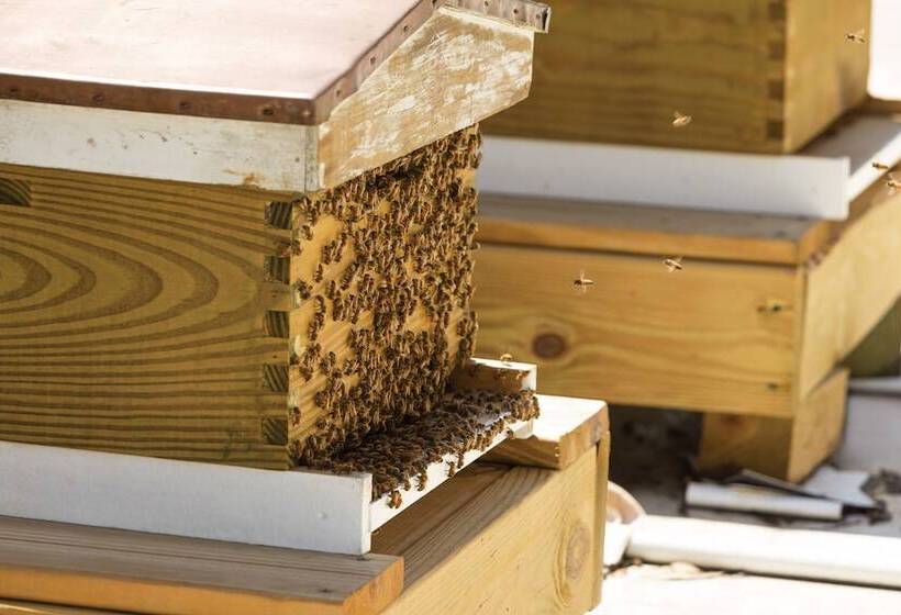 호텔 The Admiral, Downtown Historic District