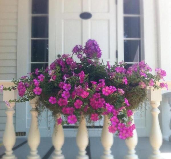 Отель The Old Lyme Inn