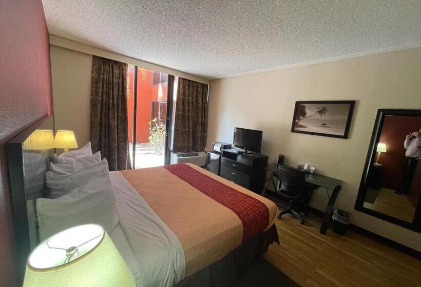 فندق Tropical Palms