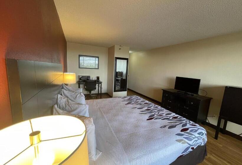 فندق Tropical Palms