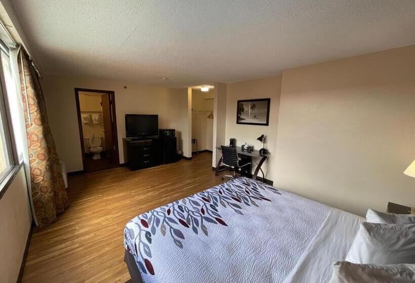 فندق Tropical Palms