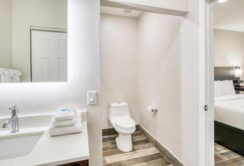 酒店 Villa 1565  Saint Augustine