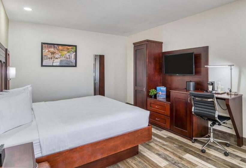 酒店 Villa 1565  Saint Augustine