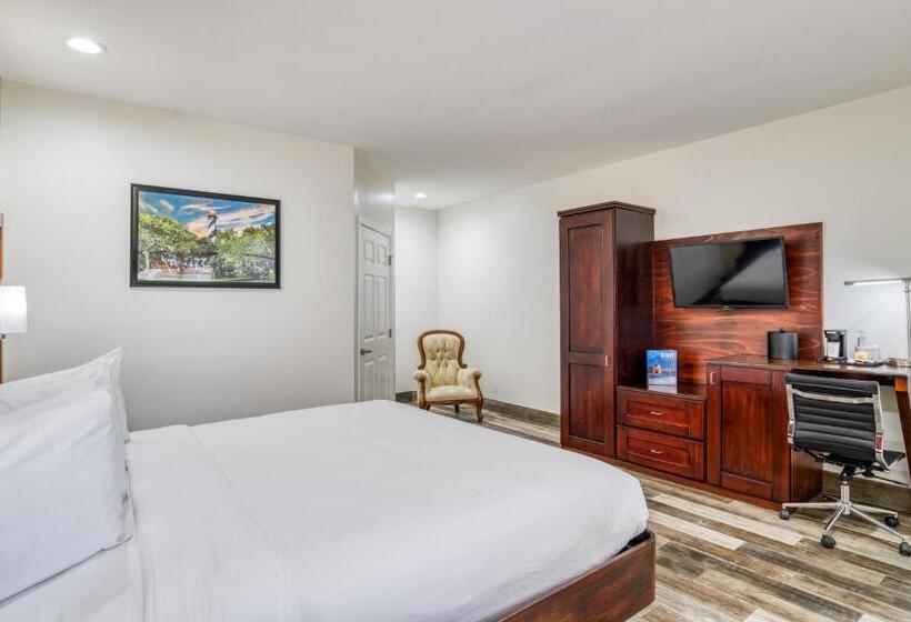 酒店 Villa 1565  Saint Augustine