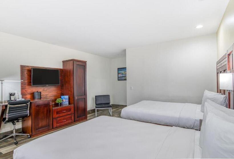 酒店 Villa 1565  Saint Augustine