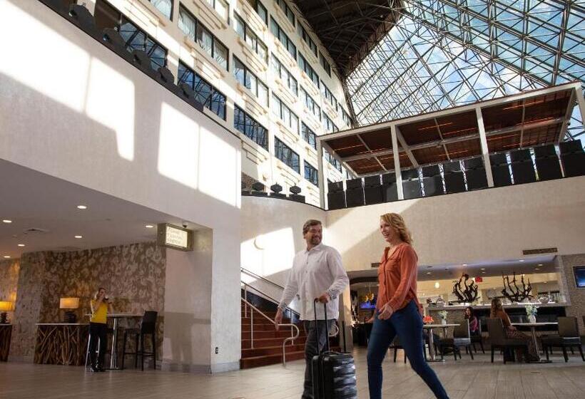 Jake S 58 Casino Hotel   Adults Only