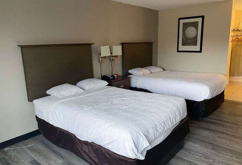 Motel 6 Rochester   Airport