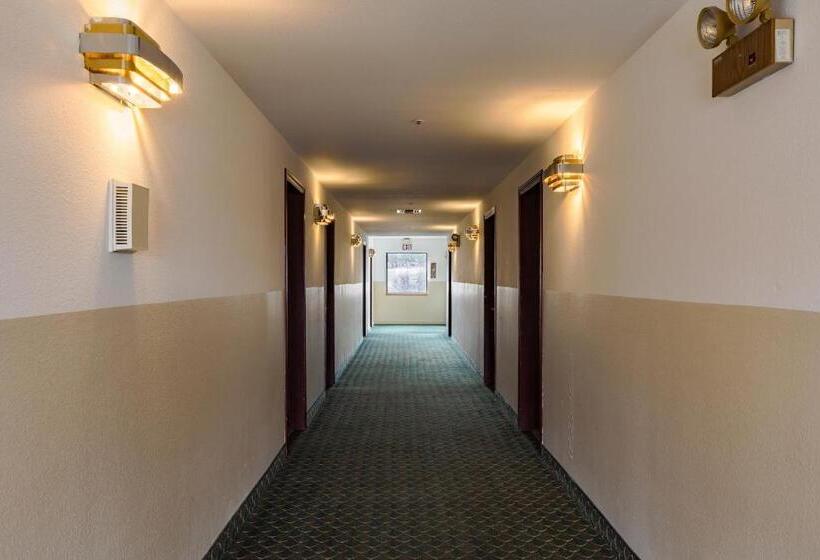 Мотель Super 8 By Wyndham Williams West Route 66   Grand Canyon Area