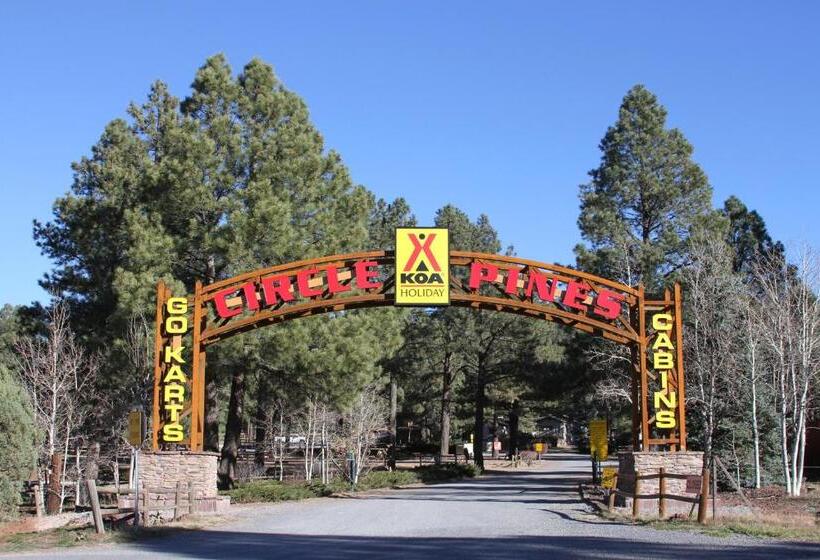 Мотель Super 8 By Wyndham Williams West Route 66   Grand Canyon Area