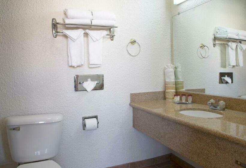 The Consulate Hotel Airport/sea World/san Diego Area