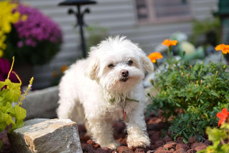 酒店 Americas Best Value Inn La Crosse