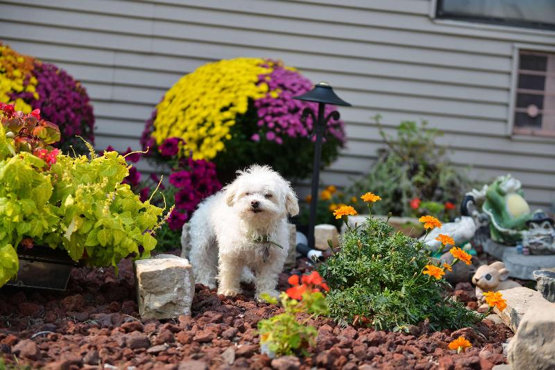 酒店 Americas Best Value Inn La Crosse