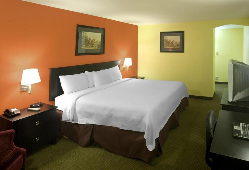 فندق Americas Best Value Inn Waco   Franklin Avenue