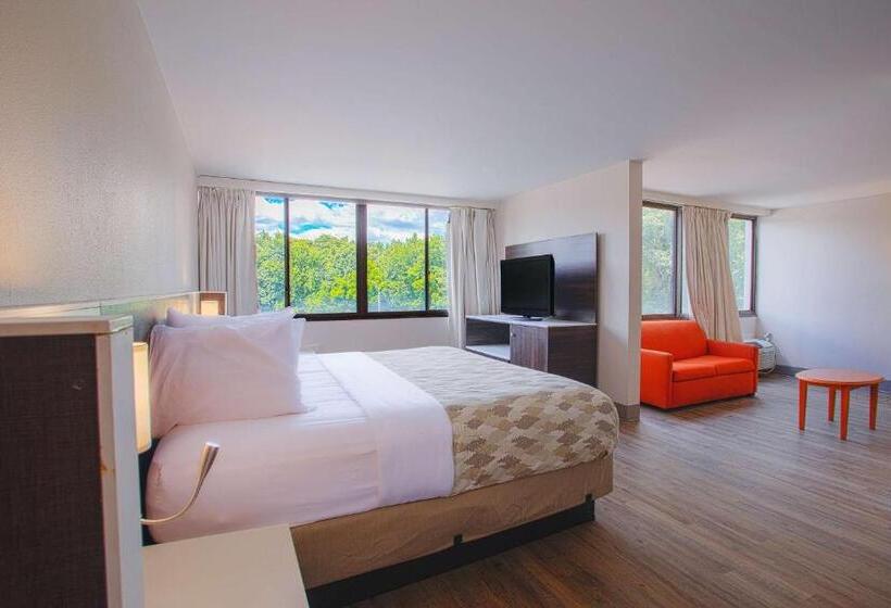 호텔 Americas Best Value Inn Winston Salem, Nc