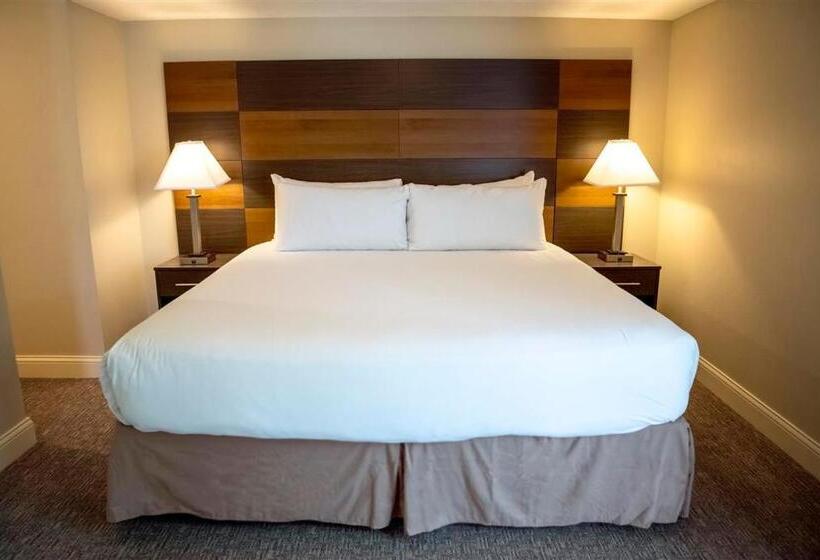 酒店 Annabell Gardens