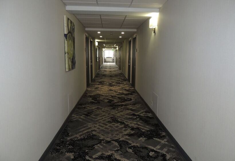 ホテル Best Western Plus Clarks Summit Scranton
