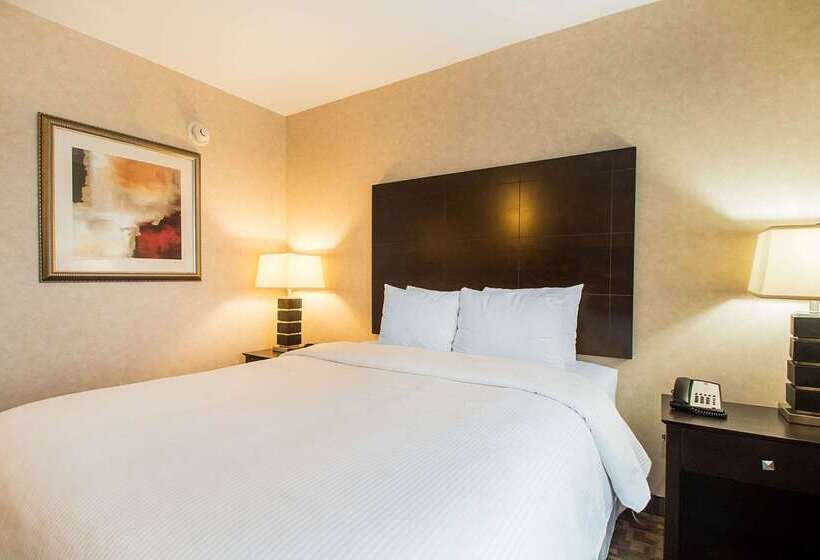 酒店 Clarion Inn Elmhurst  Oak Brook Near I88, I290, I294