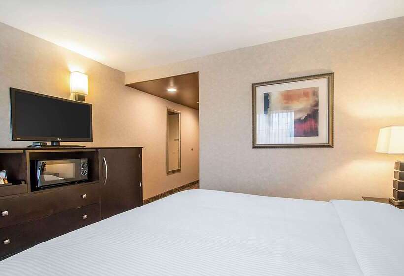 酒店 Clarion Inn Elmhurst  Oak Brook Near I88, I290, I294