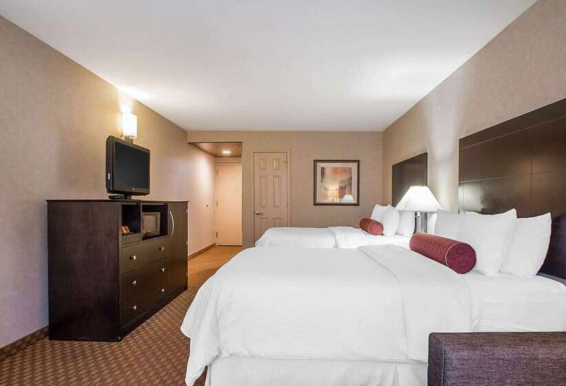 酒店 Clarion Inn Elmhurst  Oak Brook Near I88, I290, I294