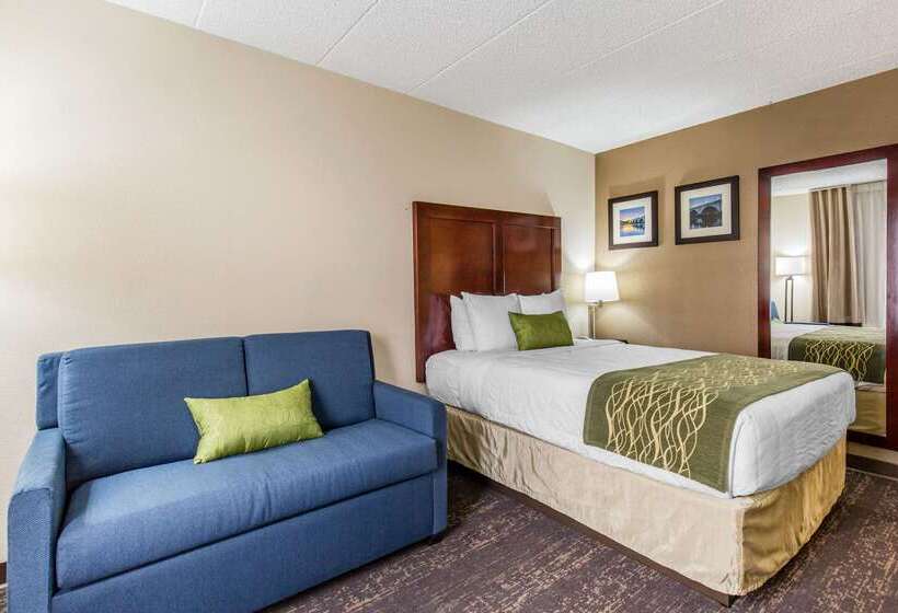 호텔 Comfort Inn College Park North