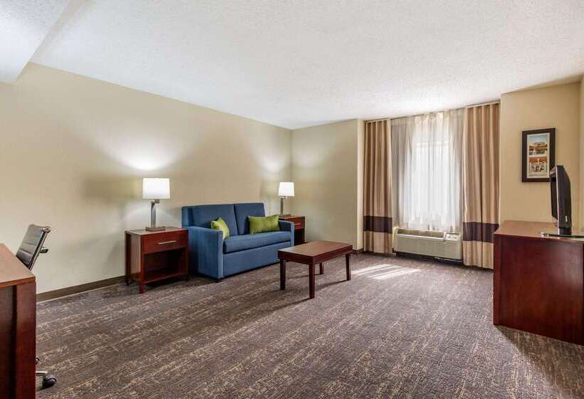 호텔 Comfort Inn College Park North