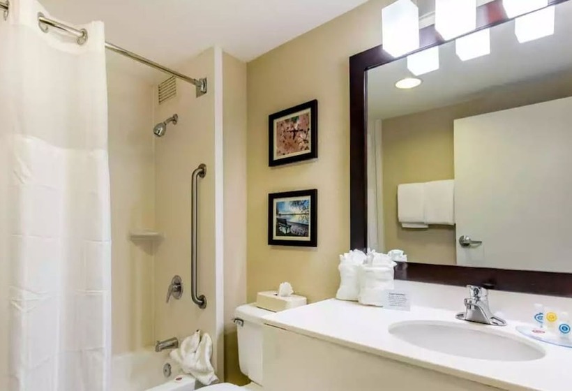 호텔 Comfort Inn College Park North