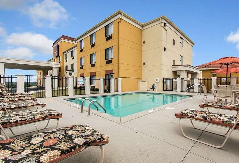 בית מלון כפרי Comfort Suites Cullman I65 Exit 310