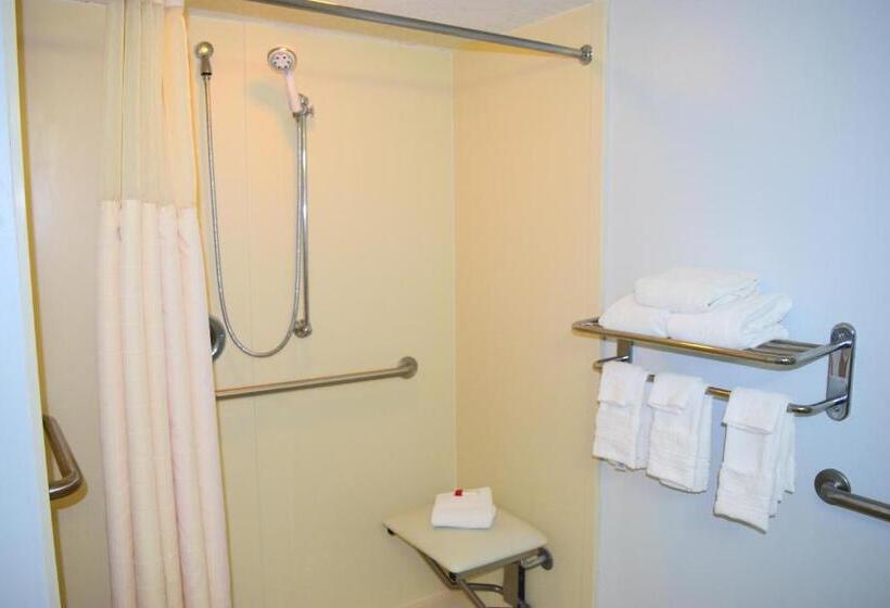 בית מלון כפרי Days Inn By Wyndham Rock Falls