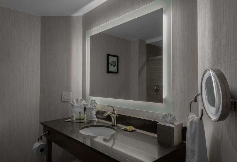 فندق Doubletree By Hilton Burlington Vermont