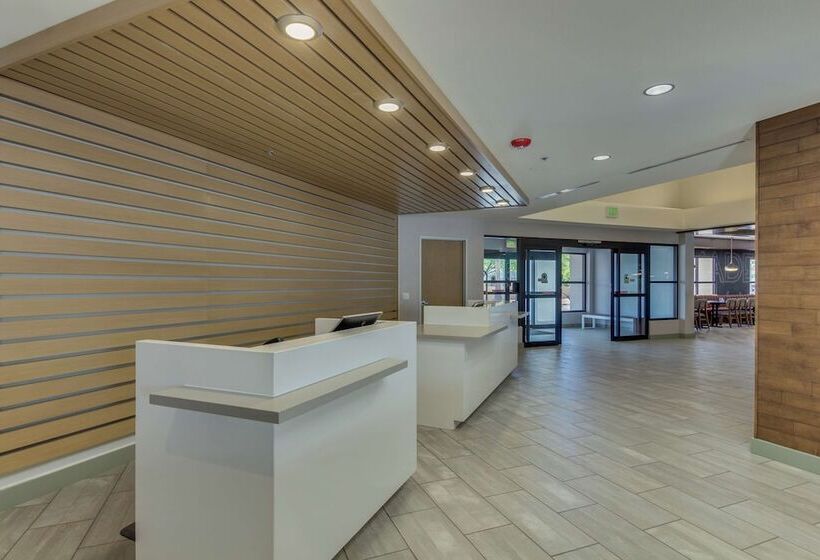 ホテル Doubletree By Hilton Phoenix Chandler